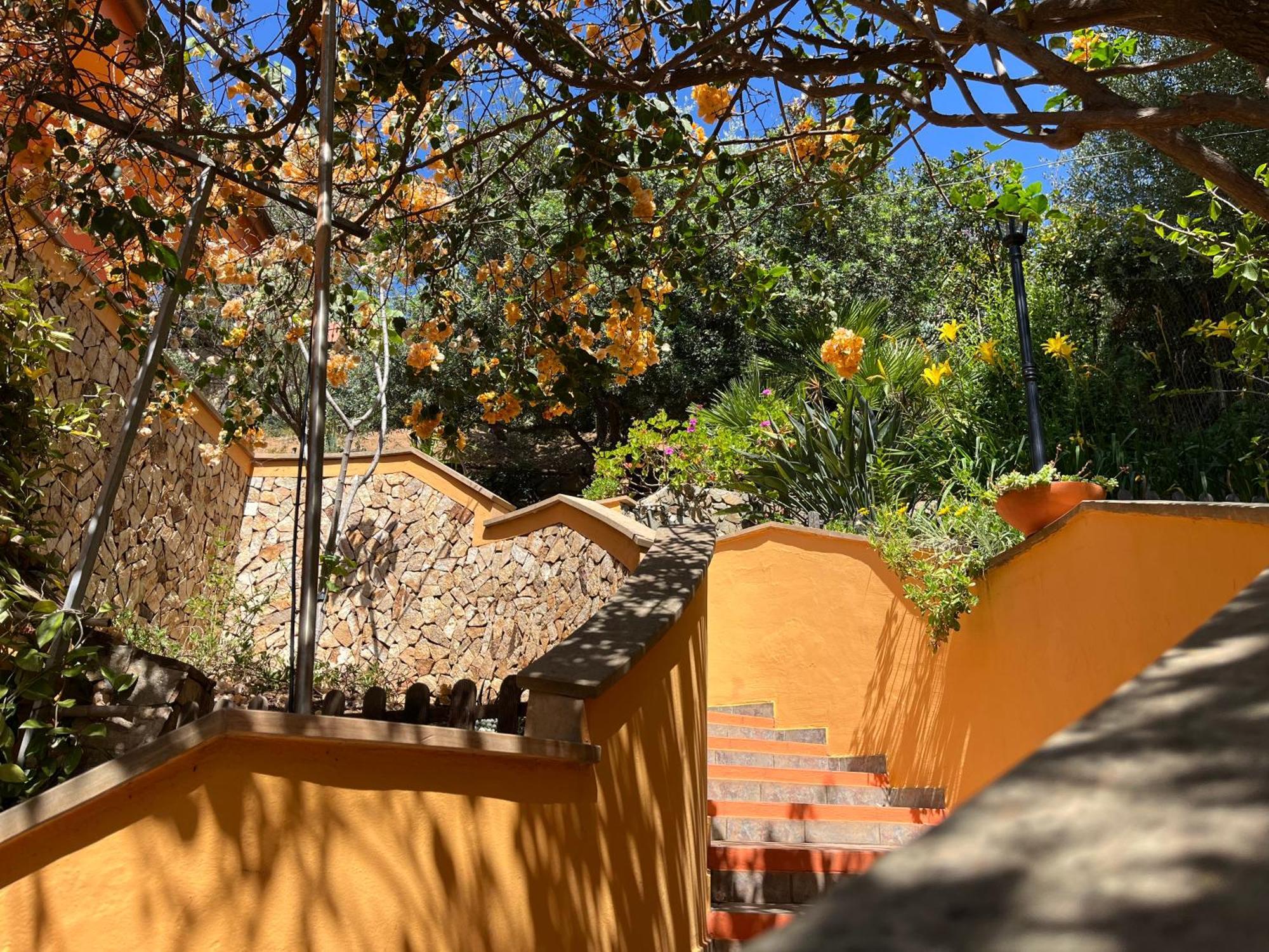 Villa Con Giardino Vista Mare カピターナ エクステリア 写真